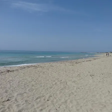 Paloma